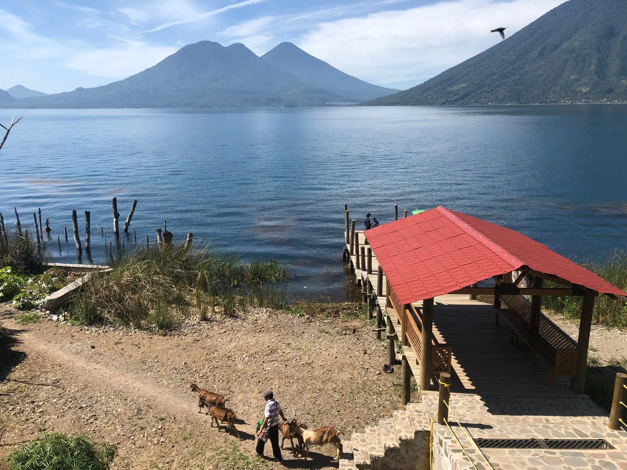 A lake dock with a red roof in San Marcos La Laguna, with two volcanoes across the water and a man leading goats along the shore.