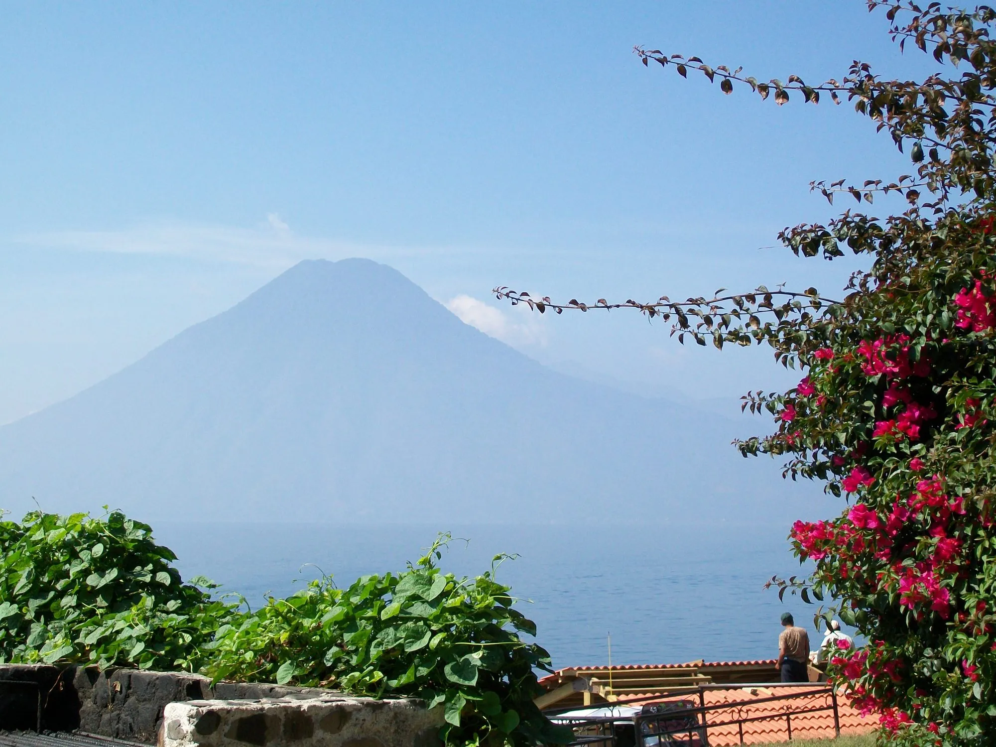 A volcano across Lake Atitlan framed by bougainvillea flowers and green vines near Santa Cruz La Laguna.